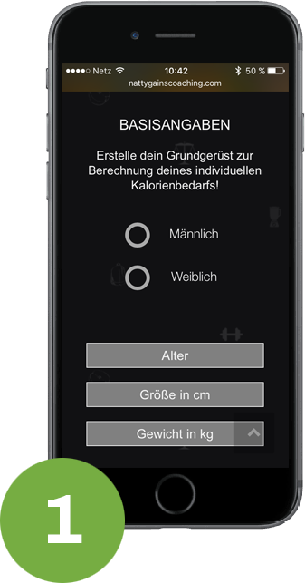 Step 1 Ernährungsplan-Tool